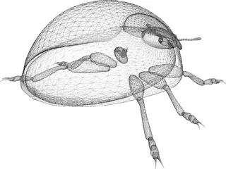 Ladybird 3D Model preview