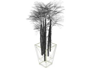 K-VG Rhapis B 3D Model preview