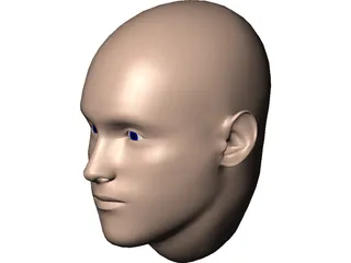 Human Head 3D Model preview