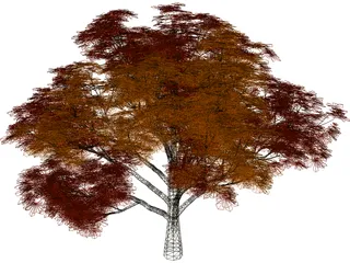 Chestnut Tree 3D Model preview
