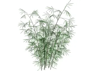 Bamboo 3D Model preview