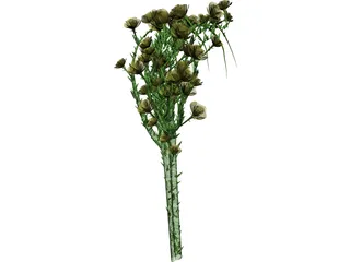 Rose Flower 3D Model preview