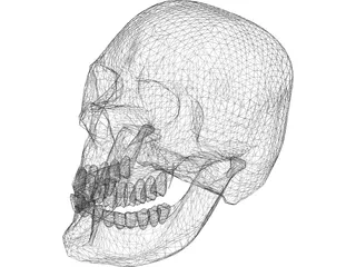 Skull Hell 3D Model preview