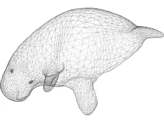 Manatee 3D Model preview