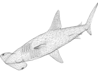 Shark 3D Model preview