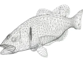 Bass 3D Model preview