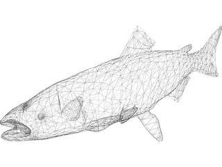 Salmon 3D Model preview