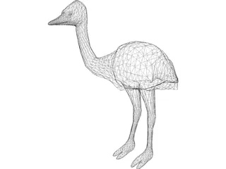 Ostrich 3D Model preview