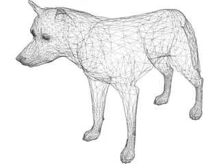 Coyote 3D Model preview