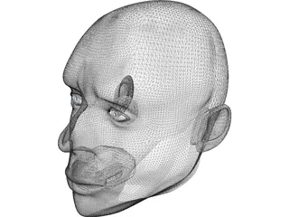 Head Male 3D Model preview