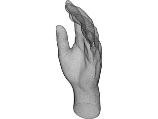 Hand 3D Model preview