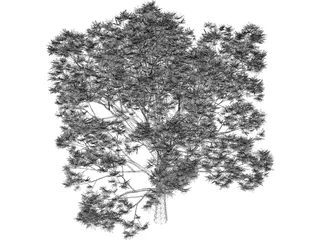 Oak Tree 3D Model preview