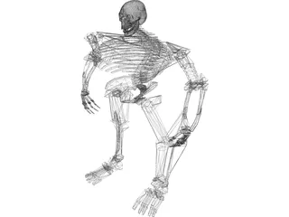 Warrior Skeleton 3D Model preview