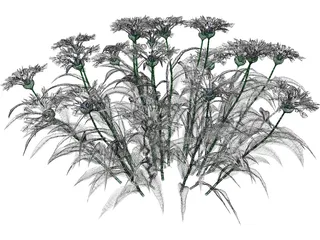 Centaurea Montana 3D Model preview
