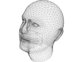 Human Head 3D Model preview