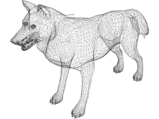 Wolf 3D Model preview