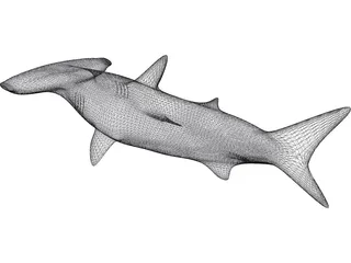 Shark 3D Model preview