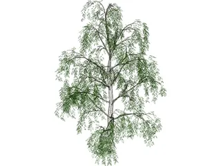 Tree 3D Model preview