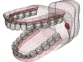 Mouth 3D Model preview