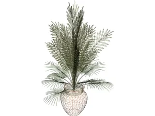 Large Potted House Plant 3D Model preview