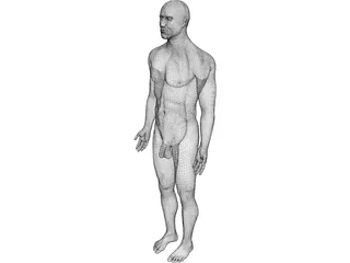 Man 3D Model preview