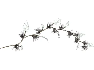 Wine Plant 3D Model preview