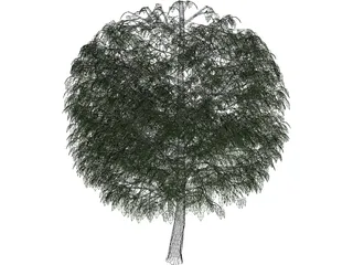 Tree 3D Model preview