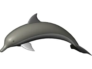 Dolphin 3D Model preview