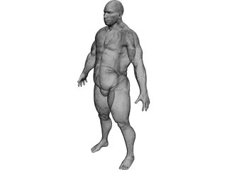 Man 3D Model preview