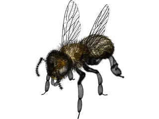Bee with Fur 3D Model preview