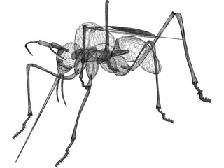 Mosquito 3D Model preview