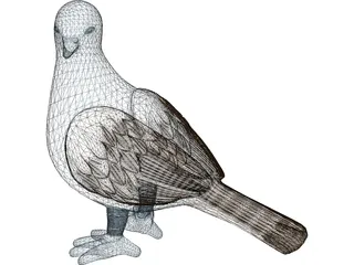 Pigeon 3D Model preview