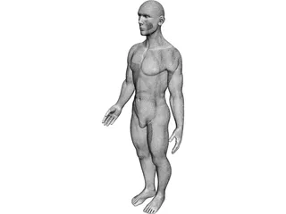 Man 3D Model preview