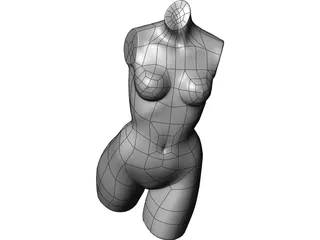 Female Torso 3D Model preview