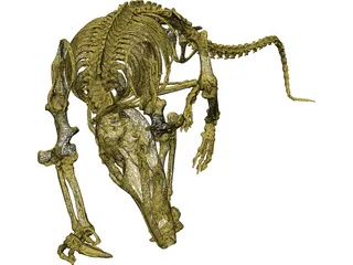 Skeleton Prehistoric 3D Model preview