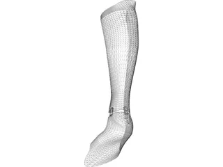 Orthopedic Leg Brace 3D Model preview