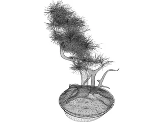 Bonsai Tree 3D Model preview