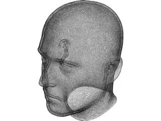 Human Male Scanned Head 3D Model preview