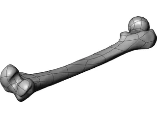 Femur Bone 3D Model preview