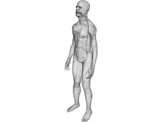 Man Human 3D Model preview
