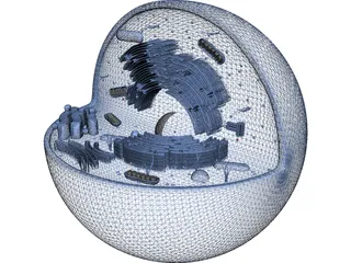 Animal Cell Structure 3D Model preview