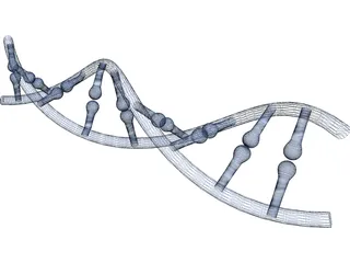 DNA 3D Model preview