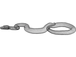 Snake 3D Model preview