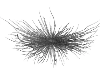 Bacteria 3D Model preview