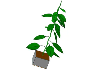 Bell Pepper Plant 3D Model preview