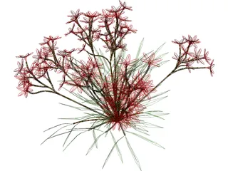 Flower 3D Model preview