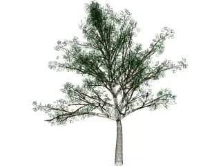 Tree 3D Model preview