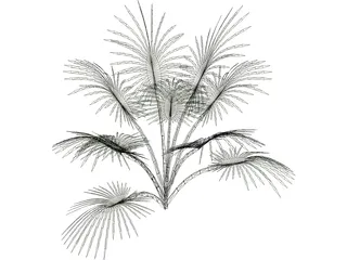 Tree 3D Model preview