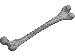 Femur Bone 3D Model preview