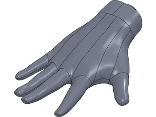 Human Hand 3D Model preview